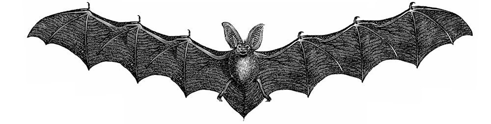 WTF Bat - 9x24 1-Color Screenprint