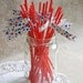 4th of July - Red, White, and Blue Stars Flagged Party Straws
