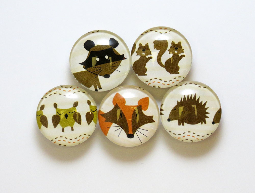 Owl Magnet Squirrel Fox Raccoon Hedgehog Glass Set of 5