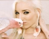 Pink peach parrot feather earrings - Beautiful Love - FeatherObsession