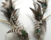 Long peacock feather earrings, grizzly, stripes, bohemian, earth, brown - Lay of the Land