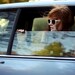 Baby You Can Drive My Car 8x10