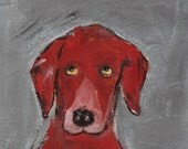 Pippin 11x14 archival matted print