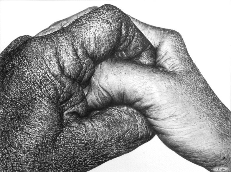 Clasped hands original charcoal drawing