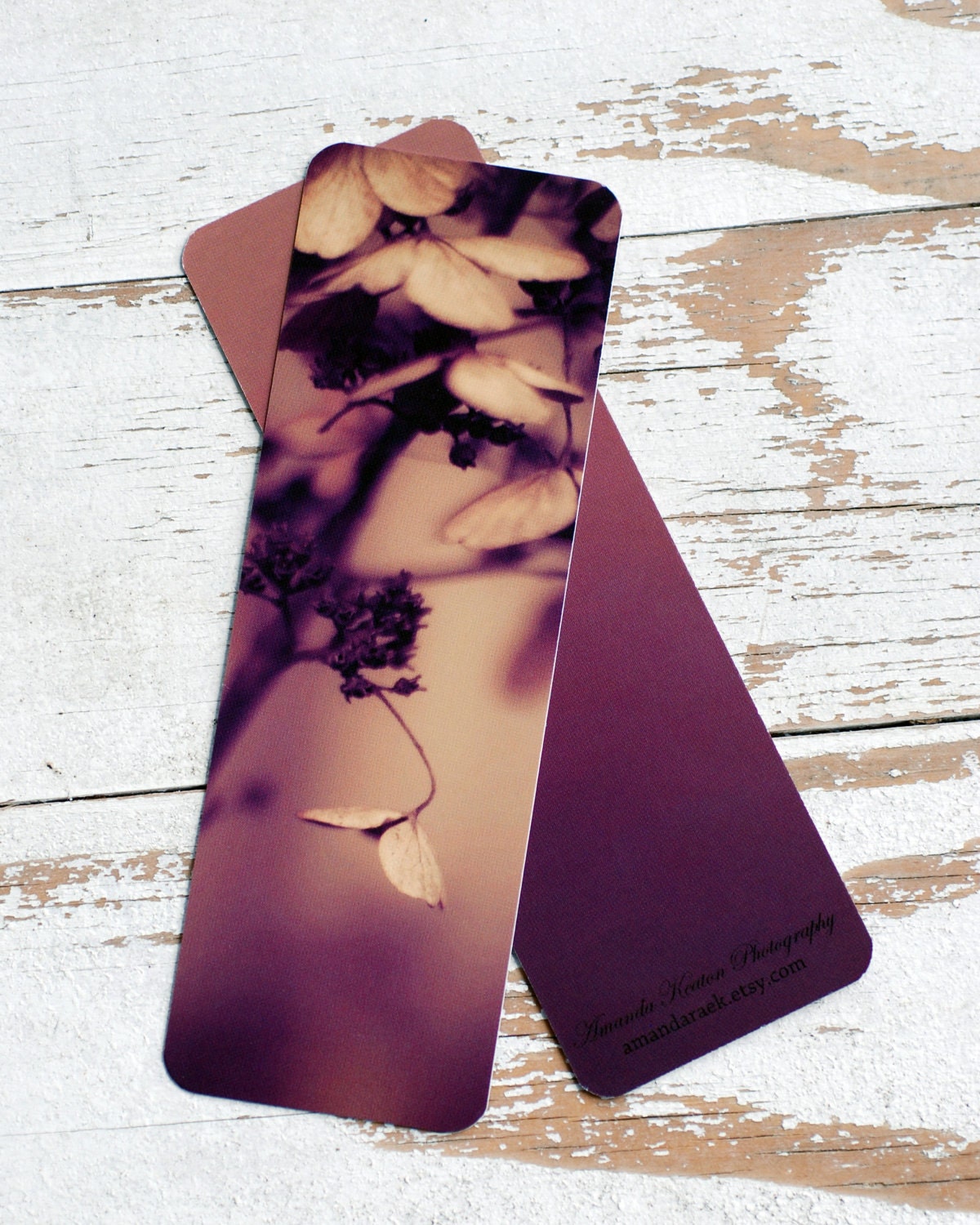 25% OFF fine art photo bookmark, nature, flower, garden  2x6 bookmark with rounded corners, gift book nature photo valentine