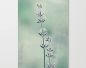 minimalist art spring garden pastel cottage home decor wall art 5x7 photo lavender lilac sage flower photograph"Spring Wash" - AmandaRaeK
