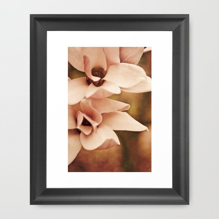 french country decor magnolia flower photography shabby chic fine art photo for her Valentine's Day "Noble in Pink"