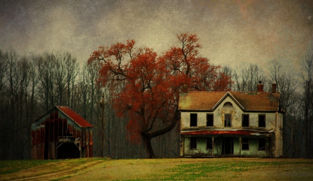 fall decor autumn color 16x24 fine art photo- rustic countryside landscape photograph "Keep Farming Until Its All Gone"