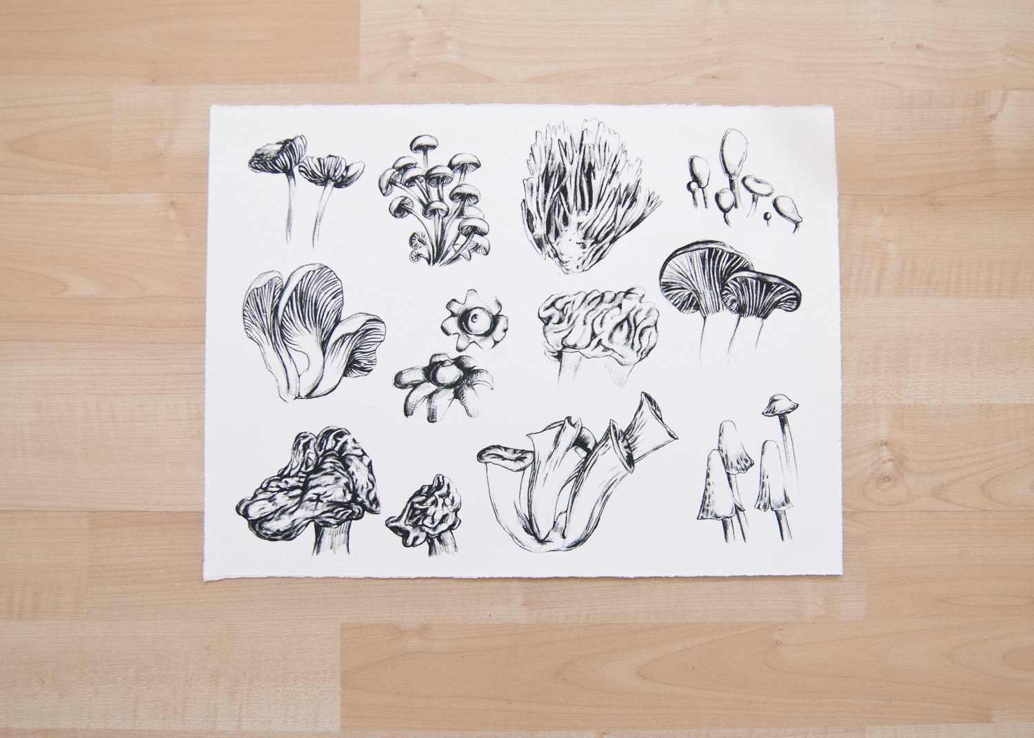 RESERVED - Fungi Screen Print for Kelly