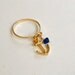 Ring Dangle 002 Anchor