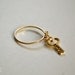 Ring Dangle 002 Anchor