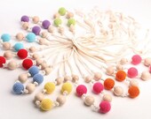 Northern Berries Nursing / Teething necklcae