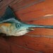 Blue Marlin 4.6 foot long x 18" wide chainsaw wood carving original Todd Lynd nautical sculpture trophy fish wall mount coastal living art