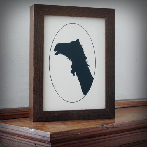 C is for camel animal silhouette