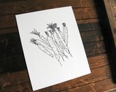 Carrots ABC art print 8 x 10 -  from the Vermont Farmers' Market Series