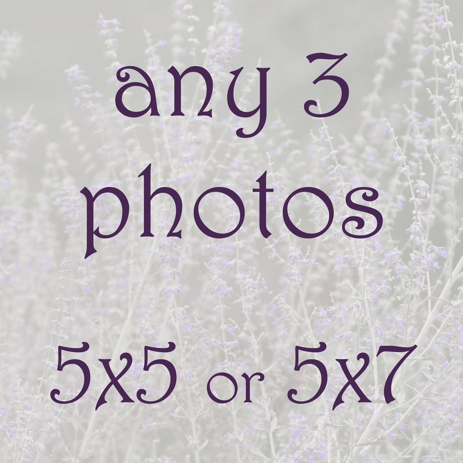Custom photograph set, nature, flower, botanical, wall art, home decor, choose your own set -- any three 5x7 inch photos