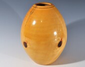 Norfolk Island Pine vessel