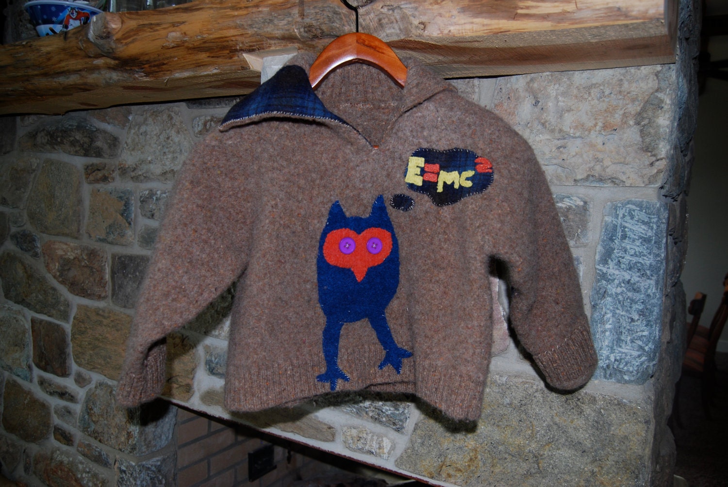Wool Unisex Felted Child's Sweater with Einstein the Owl, Child's size 5-8
