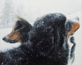 CUSTOM oil Pet Portrait  2 subjects 12" x 12"