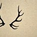 Oh Deer - Screenprinted notebook