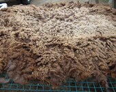 A Variety of Sheep Fleeces