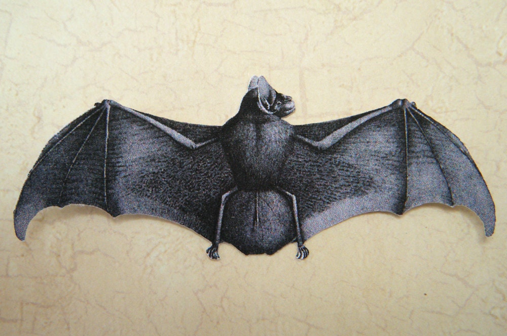 Creepy Bat Cutouts