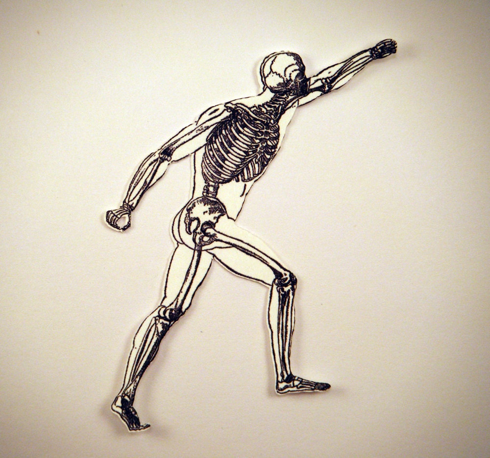 Anatomy Man Cutouts