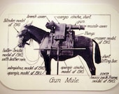 Gun Mule Diagram Cutout Card