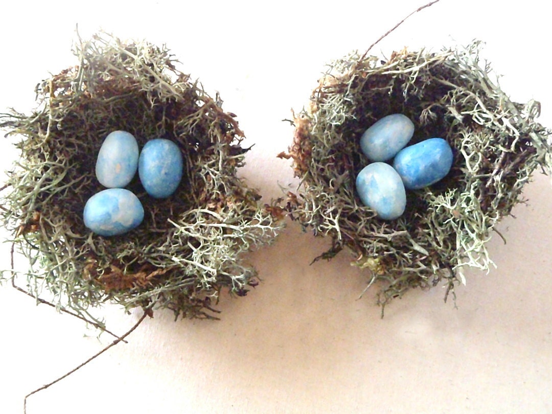 Spring Green Birds Nests - 3" rustic nests w/ blue eggs, set of TWO -Home Decor