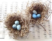 Shabby Chic Birds Nests - 3" spanish moss nests w/ blue eggs, set of TWO