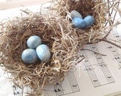Shabby Chic Birds Nests - 3" spanish moss nests w/ blue eggs, set of TWO