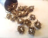 Craft supply - cute mini birds nests - SET of 20