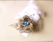 Mini Birds Nest Gift Tags - Set of 6 - Shabby Chic - Baby Boy - Easter