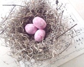 Shabby Chic Birds Nest  - Spanish Moss 6 Inch Nest w/ Pink Eggs