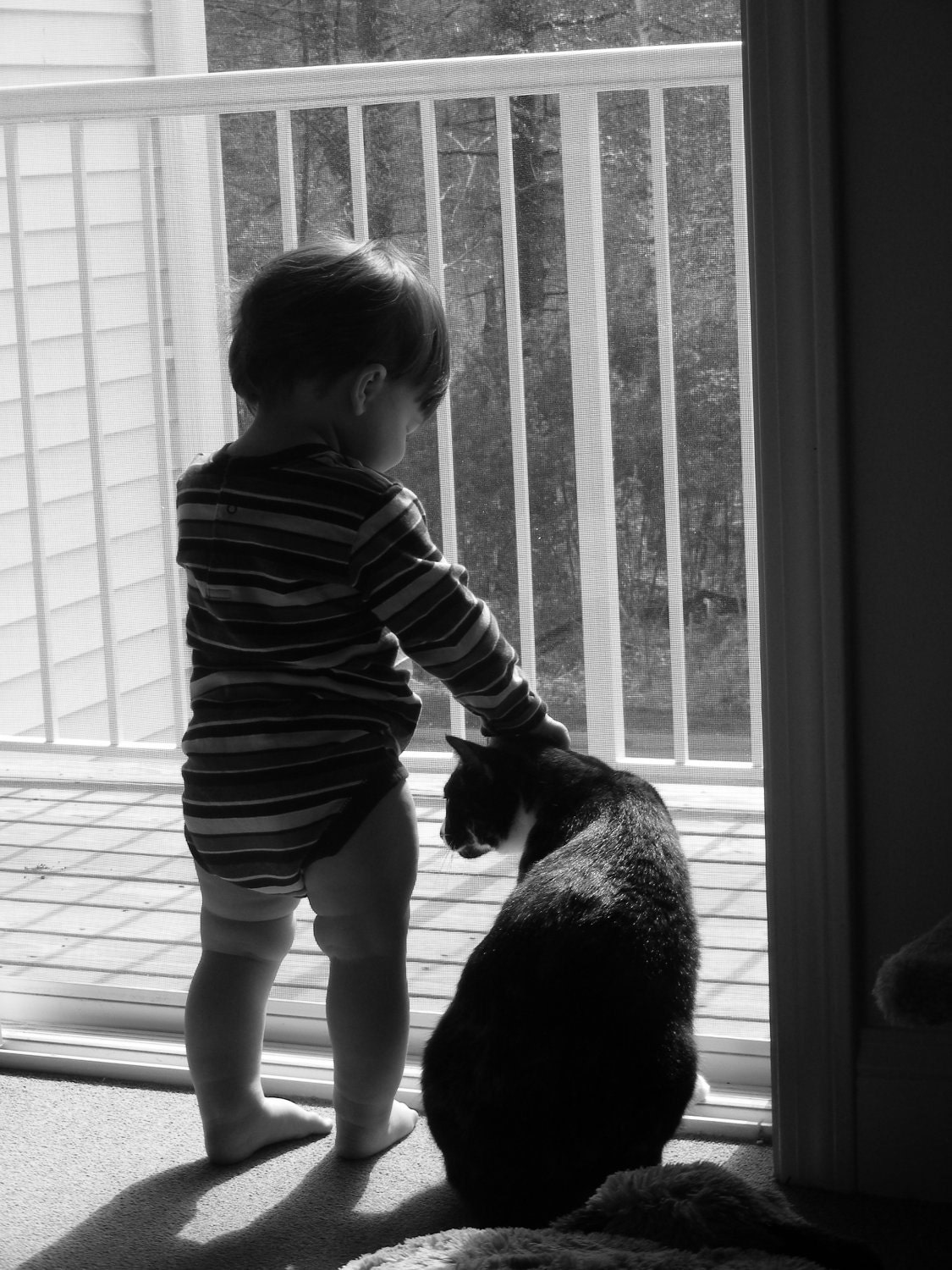 Best Friends - 8 by 10