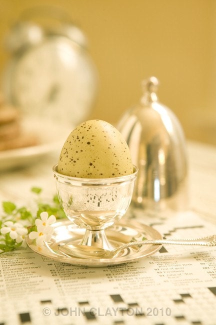 Speckled Egg - Signed archival fine art photograph