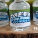 Skylanders Birthday Party Water Bottle Labels
