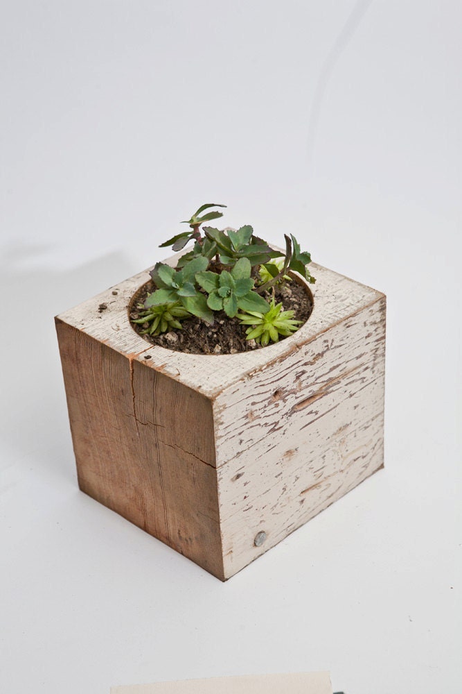 Large / re-BEAM Planter with Succulent Arrangement
