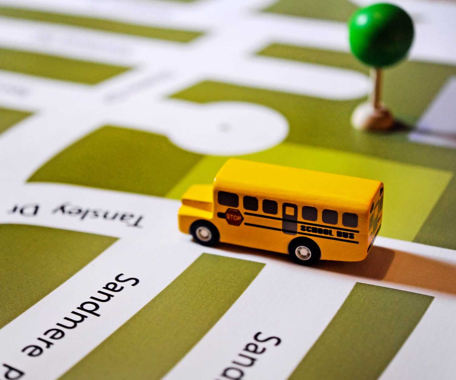 I am Here - your neighborhood custom map play mat - LARGE