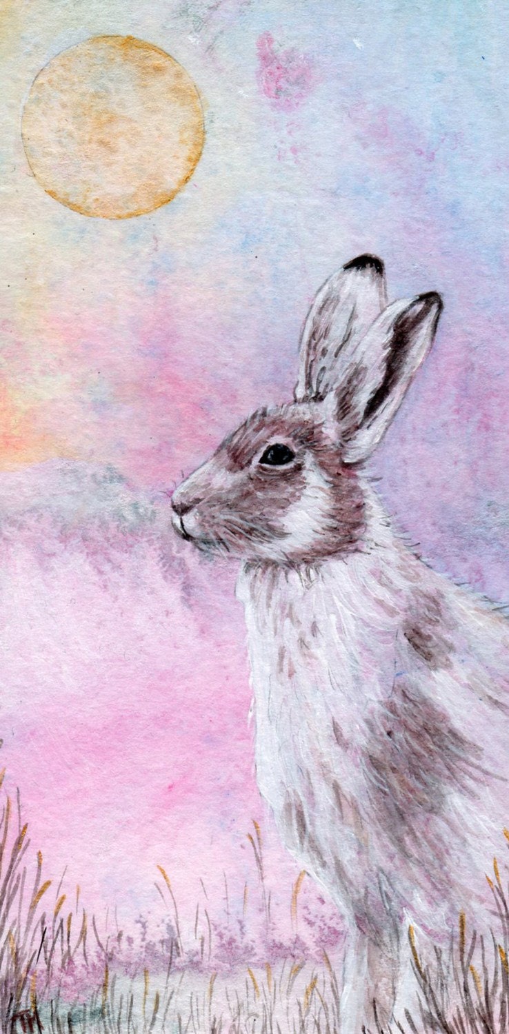 Winter sun - Artist print - Hare