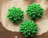8 pcs Wholesale Beautiful   Colorful Rose Flower Resin Cabochon   - -23mm(CAB-AN-38)