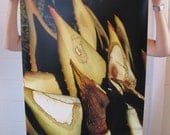 Large Scale Fallen Aloe Photo Print
