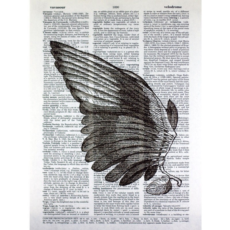 wing print