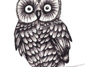 Baby owl drawing-print of original ink illustration