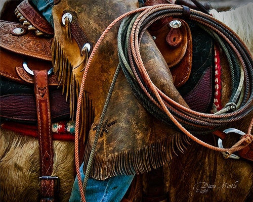 Tools of the Trade - 10 x 8 - Fine Art Photographic Print