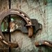 Country Rustic - 10 x 8 - Fine Art Photographic Print