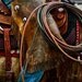 Tools of the Trade - 10 x 8 - Fine Art Photographic Print