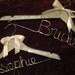 A "Girl's Best Friend" the ultimate in personalized bridal hangers, rhinestone covered,bachelorette wedding gift