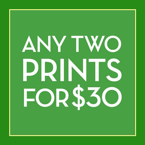 Pick Any Two 12x16 Prints for 30 Dollars