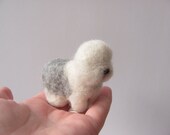 Miniature Old English Sheepdog